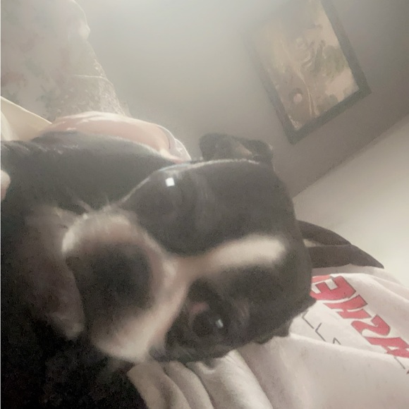 Meet your Posher, Leah - Picture 1 of 1